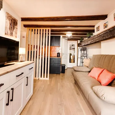 Le Cocooning - Small Of 20 Square Meter In The Heart Of *