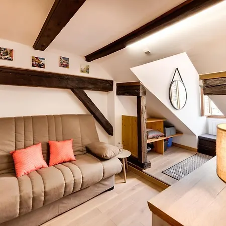 Le Cocooning - Small Of 20 Square Meter In The Heart Of * Annecy